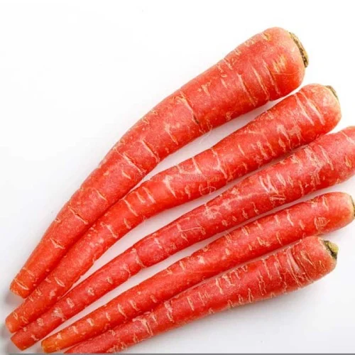 Carrot-Red-Long-Vegetable-Seeds-1